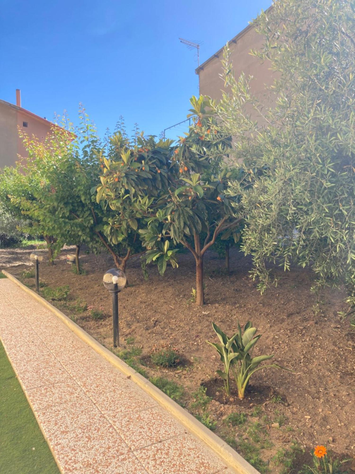 Casa Vacanze Il Giardino Villamassargia 外观 照片